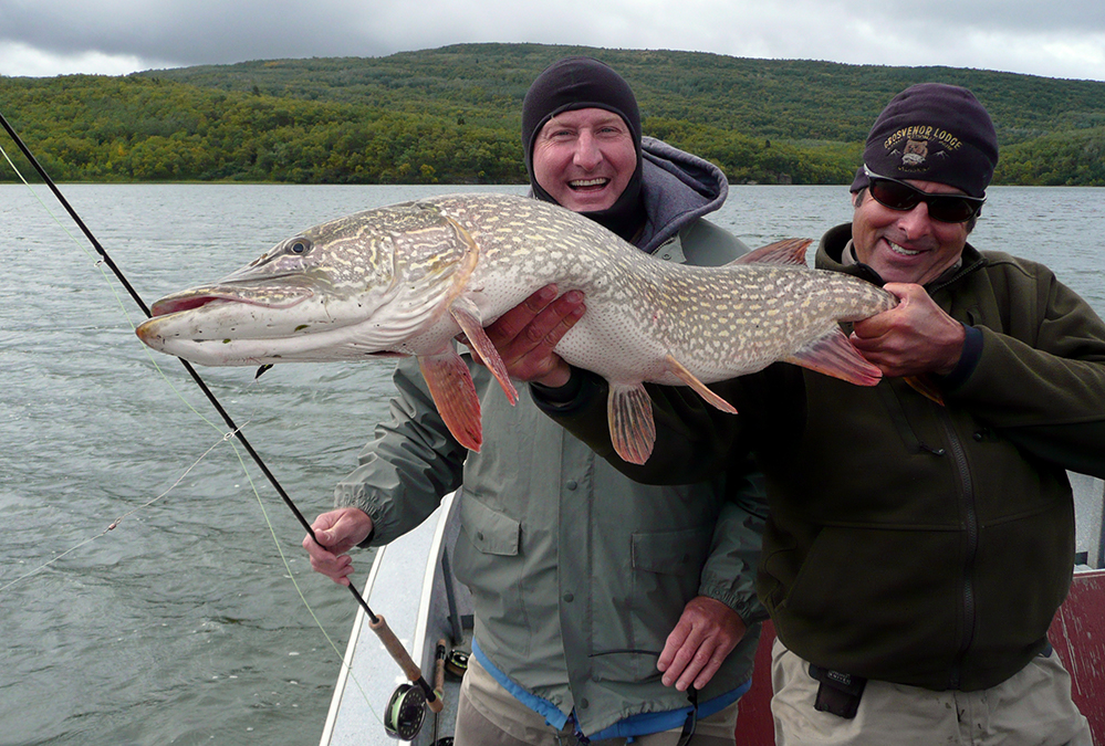 Grosvenor Lodge Northern Pike