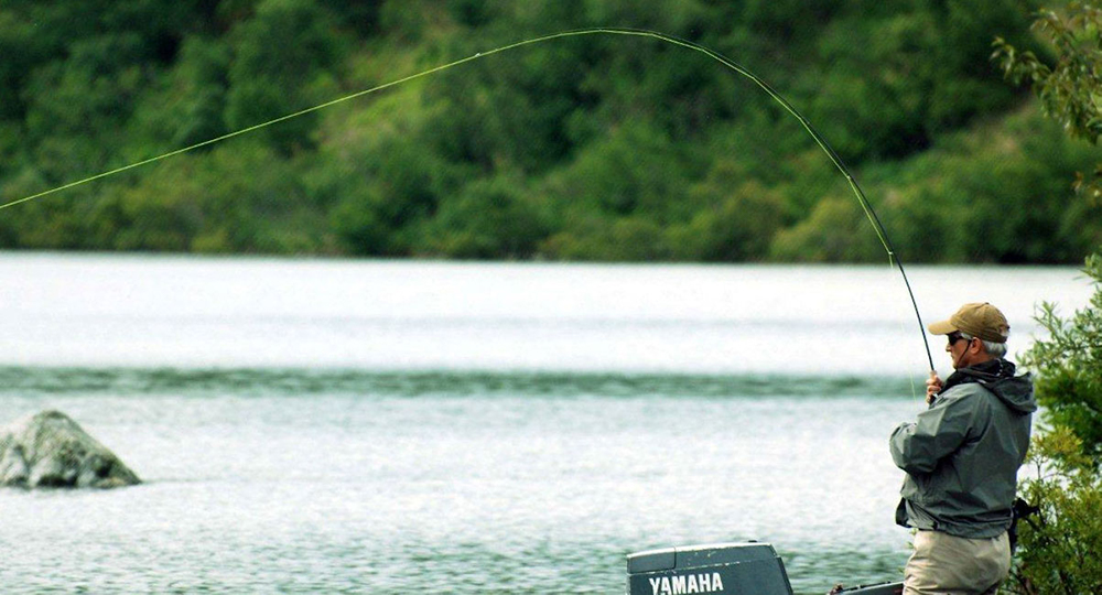 Grosvenor Lodge Fighting Fish