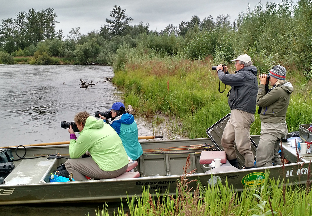 Grosvenor Lodge Guests Brown Bear Viewing